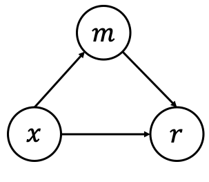 CIRM causal graph